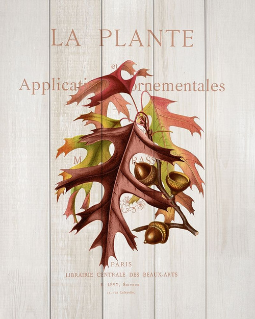 Fall Botanical 2 Poster Print by Allen Kimberly - Item # VARPDXKARC1005B