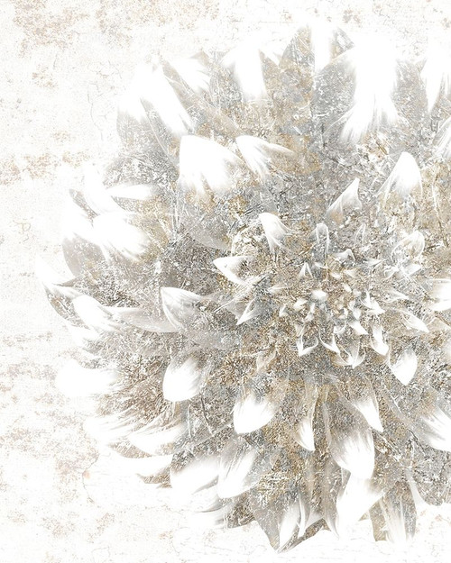 Silver Blooms 2 Poster Print by Allen Kimberly - Item # VARPDXKARC1026B