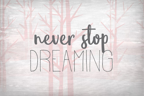 Never Stop Dreaming Pink Poster Print by Allen Kimberly - Item # VARPDXKARC1055B