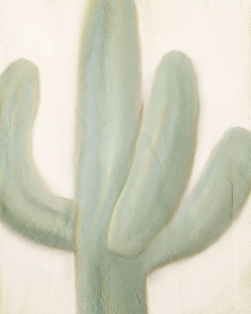 Sage Cactus 1 Poster Print by Allen Kimberly - Item # VARPDXKARC1211A