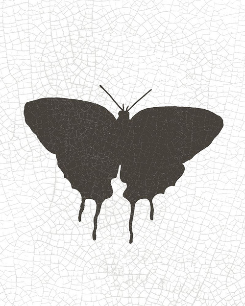 Crackle Wings 2 Poster Print by Allen Kimberly - Item # VARPDXKARC1240B