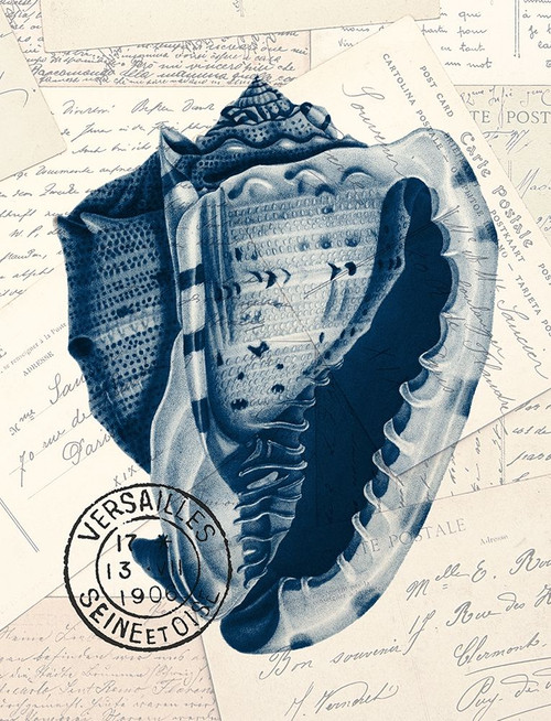 Shell Post 2 Poster Print by Allen Kimberly - Item # VARPDXKARC1243B