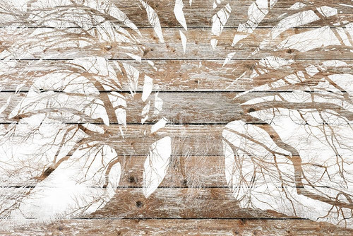 My Branches Poster Print by Allen Kimberly