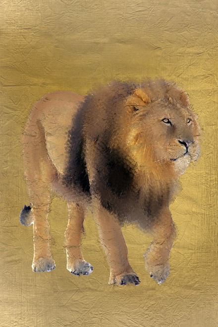 Lion Gold Poster Print by Allen Kimberly - Item # VARPDXKARC1277A