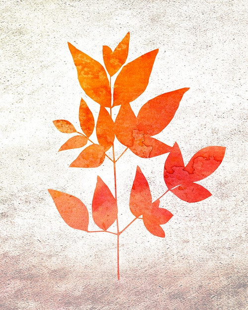 Bold Foliage 2 Poster Print by Allen Kimberly