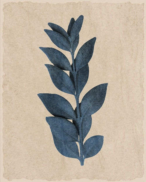 Blue Leaf Print 1 Poster Print by Allen Kimberly