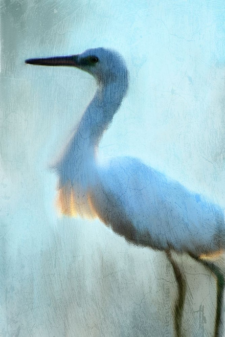 Blue Poster Print by Allen Kimberly