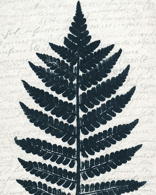 Pressed Leaf 1 Poster Print by Allen Kimberly - Item # VARPDXKARC1319A