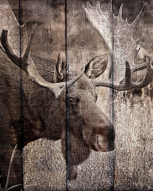 Into the Woods 1 Poster Print by Allen Kimberly - Item # VARPDXKARC1333A