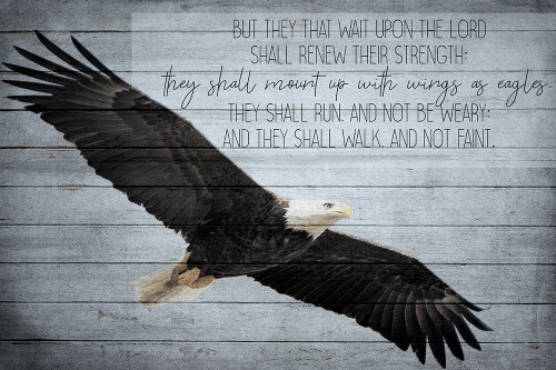 Wings as Eagles Poster Print by Allen Kimberly - Item # VARPDXKARC1354A