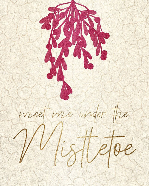 Christmas Luxe 6 Poster Print by Allen Kimberly - Item # VARPDXKARC1406B