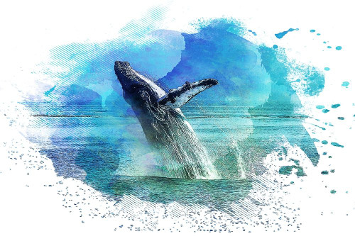 Splash 1 Poster Print by Allen Kimberly - Item # VARPDXKARC1418A