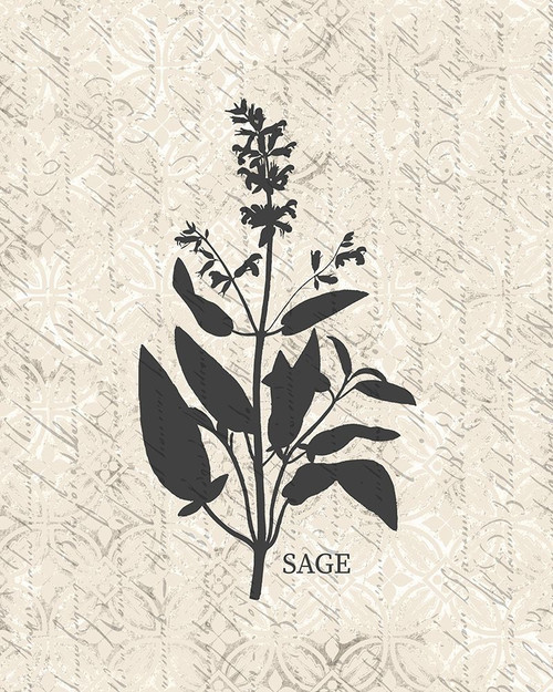 Fresh Sage Poster Print by Allen Kimberly - Item # VARPDXKARC1445A