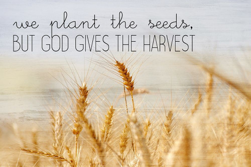 The Harvest Poster Print by Allen Kimberly - Item # VARPDXKARC1447A