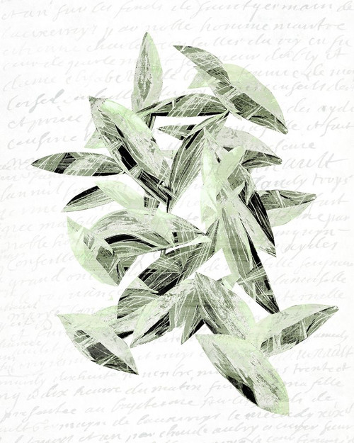 Falling Leaves 1 Poster Print by Allen Kimberly