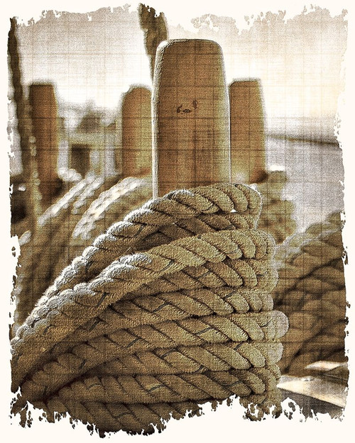 Learning the Ropes 1 Poster Print by Allen Kimberly - Item # VARPDXKARC1573A