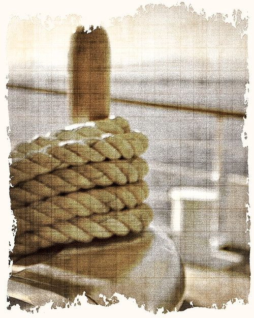 Learning the Ropes 2 Poster Print by Allen Kimberly - Item # VARPDXKARC1573B