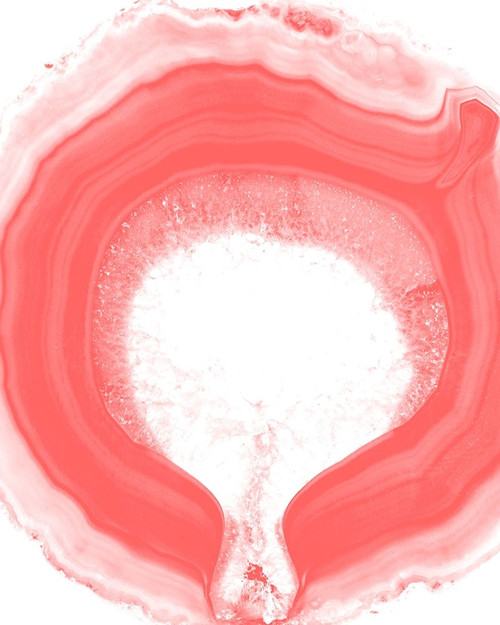 Agate Coral 1 Poster Print by Allen Kimberly