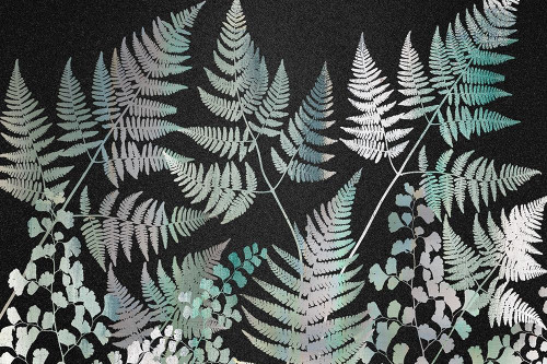 Sparkle Ferns Poster Print by Allen Kimberly - Item # VARPDXKARC1613A