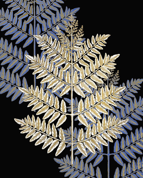 Gilded Fern 1 Poster Print by Allen Kimberly - Item # VARPDXKARC1614B