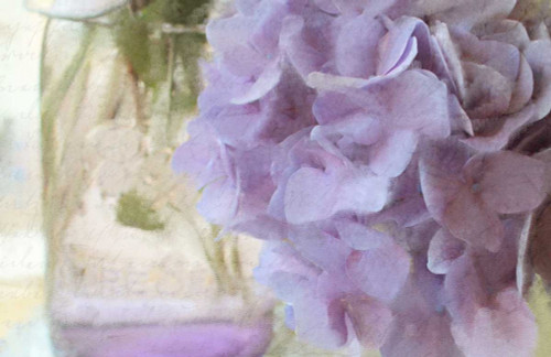 Hydrangea Jar Poster Print by Kimberly Allen - Item # VARPDXKARC194