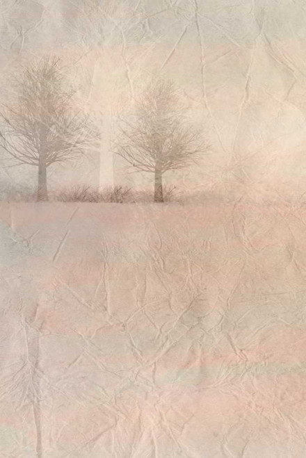 Dawn of Day 1 Poster Print by Kimberly Allen - Item # VARPDXKARC278A