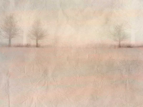 Dawn of Day 3 Poster Print by Kimberly Allen - Item # VARPDXKARC278C