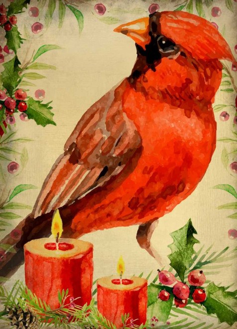 Christmas Cardinal Poster Print by Kimberly Allen - Item # VARPDXKARC299B