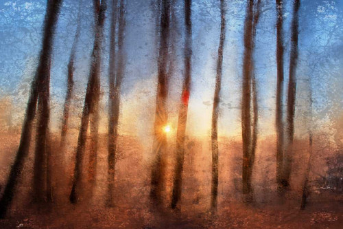 Sunset Poster Print by Kimberly Allen - Item # VARPDXKARC390