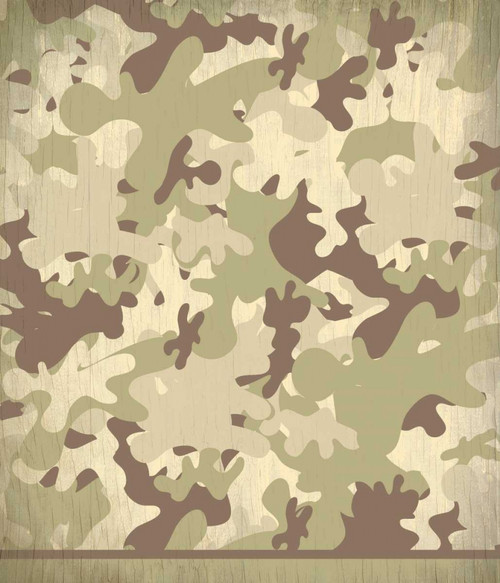 Camo Poster Print by Kimberly Allen - Item # VARPDXKARC453A