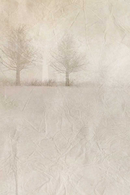 Misty Dawn 1 Poster Print by Kimberly Allen - Item # VARPDXKARC457A