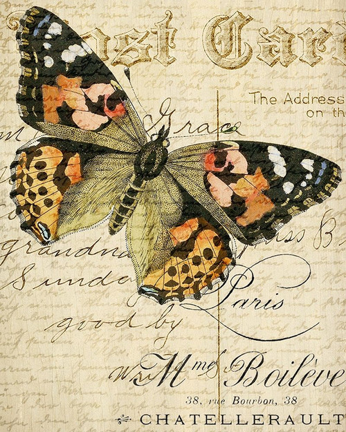 Postcard Butterfly 2 Poster Print by Kimberly Allen - Item # VARPDXKARC517B