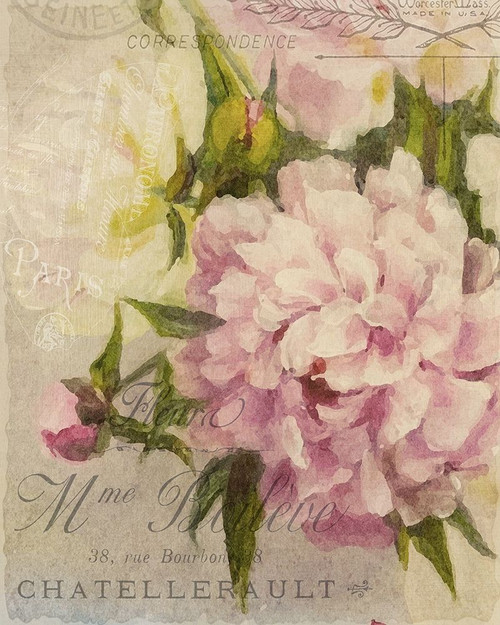 Summer Blooming Series A Poster Print by Allen Kimberly - Item # VARPDXKARC581A