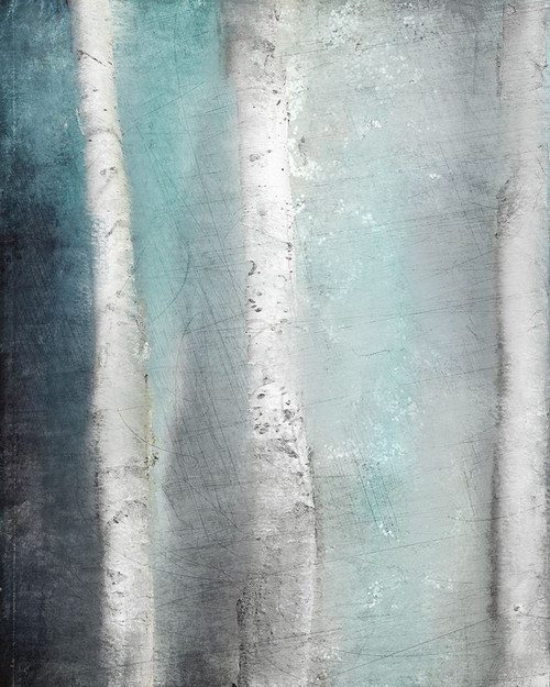 Into The Aspens 2 Poster Print by Kimberly Allen - Item # VARPDXKARC635B