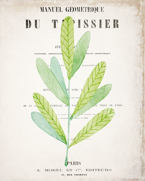 Botanical Pages 3 Poster Print by Allen Kimberly - Item # VARPDXKARC704C