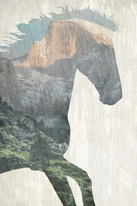 Running Mountains Poster Print by Allen Kimberly - Item # VARPDXKARC731A