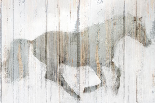 Whitewash Horse Poster Print by Kimberly Allen - Item # VARPDXKARC756B