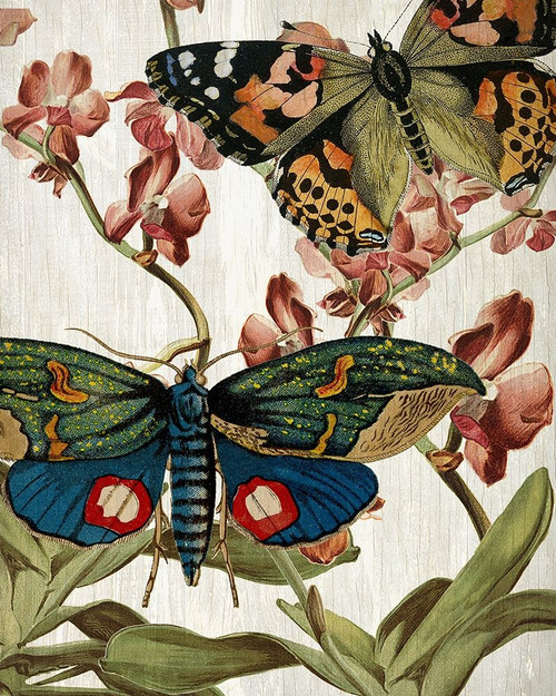 Butterfly World 3 Poster Print by Allen Kimberly - Item # VARPDXKARC774C