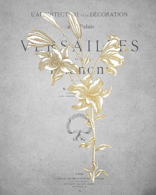 Gold Botanicals 1 Poster Print by Allen Kimberly - Item # VARPDXKARC776A