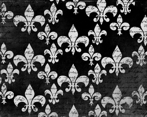 Black and White Fleur Poster Print by Allen Kimberly - Item # VARPDXKARC827A