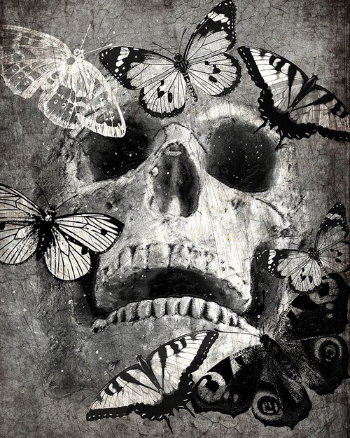 Butterfly Skull Poster Print by Allen Kimberly - Item # VARPDXKARC860A