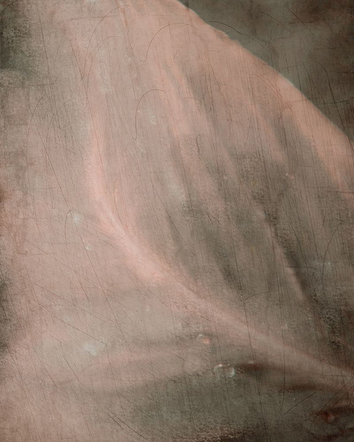 Shaded Leaf 2 Poster Print by Allen Kimberly - Item # VARPDXKARC867B