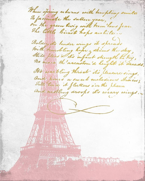 Paris in Pink 1 Poster Print by Allen Kimberly - Item # VARPDXKARC977A