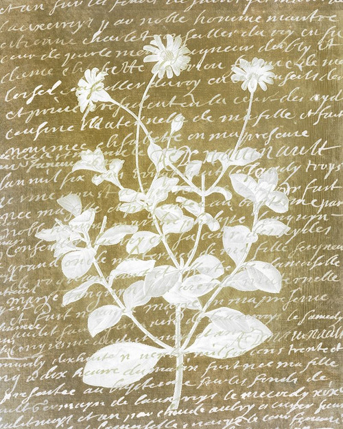 Notes on Floral 1 Poster Print by Allen Kimberly - Item # VARPDXKARC988A