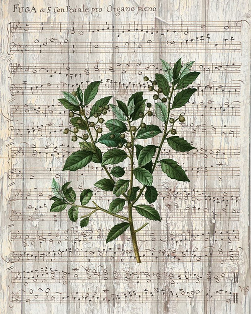 Musical Botanical 2 Poster Print by Allen Kimberly - Item # VARPDXKARC989B