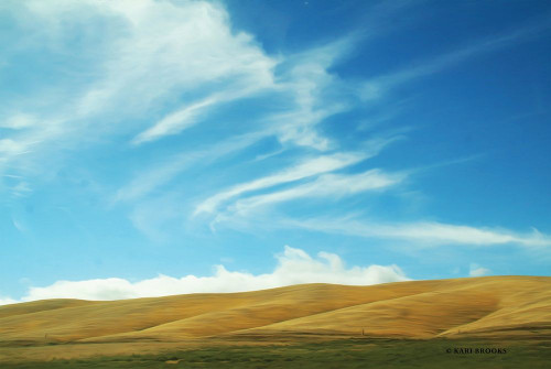 California Sky Poster Print by Kari Brooks - Item # VARPDXKARI100