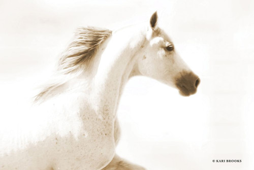 Dash I Poster Print by Kari Brooks - Item # VARPDXKARI101