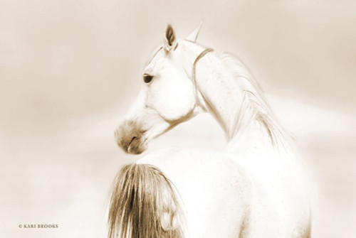 Dash II Poster Print by Kari Brooks - Item # VARPDXKARI104