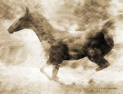 Running Fowl II Poster Print by Kari Brooks - Item # VARPDXKARI122