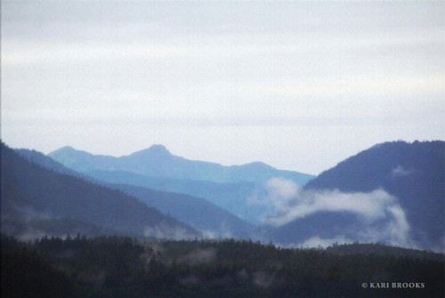 Blue Hills & Fog Poster Print by Kari Brooks - Item # VARPDXKARI129